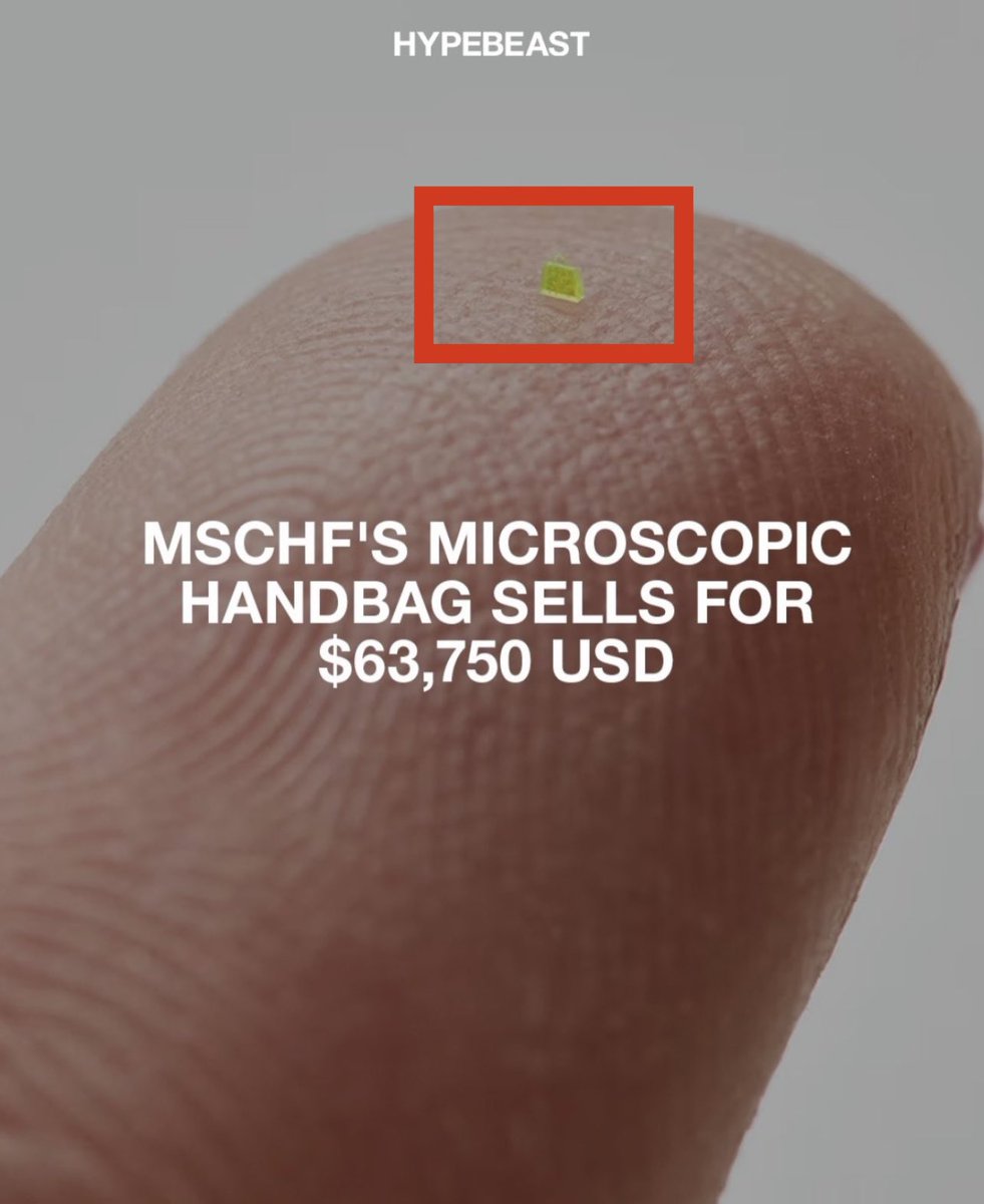 Microscopic handbag sells for $63,000

Talk about utility, I could put a whole piece of sand in there