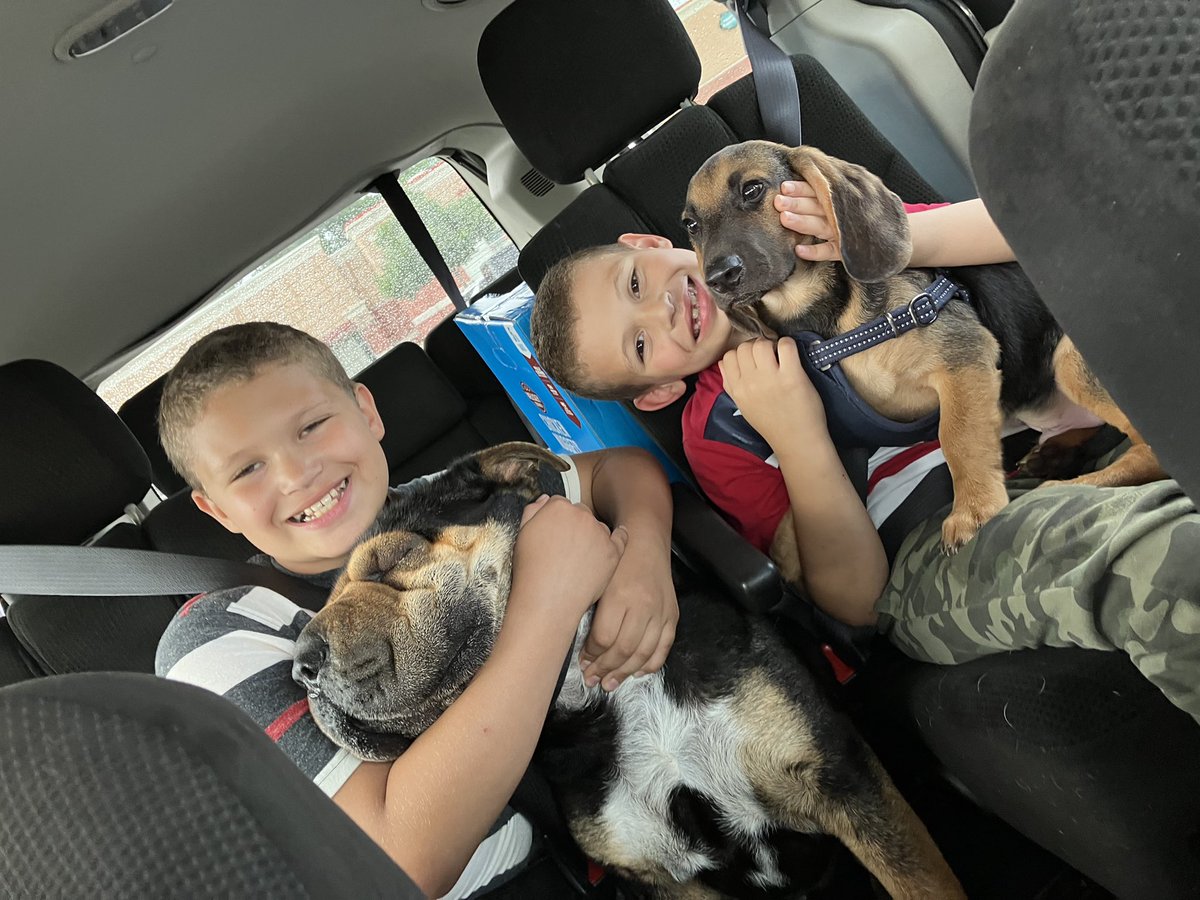 Meet the newest addition to our family 🐕‍🦺🐾 - We took him to the Derby Dog Park. Lovely to see a fellow troop 3 Scouts contribution to our town.

HOW IRONIC, WE NAMED HIM SCOUT 🐾🐾