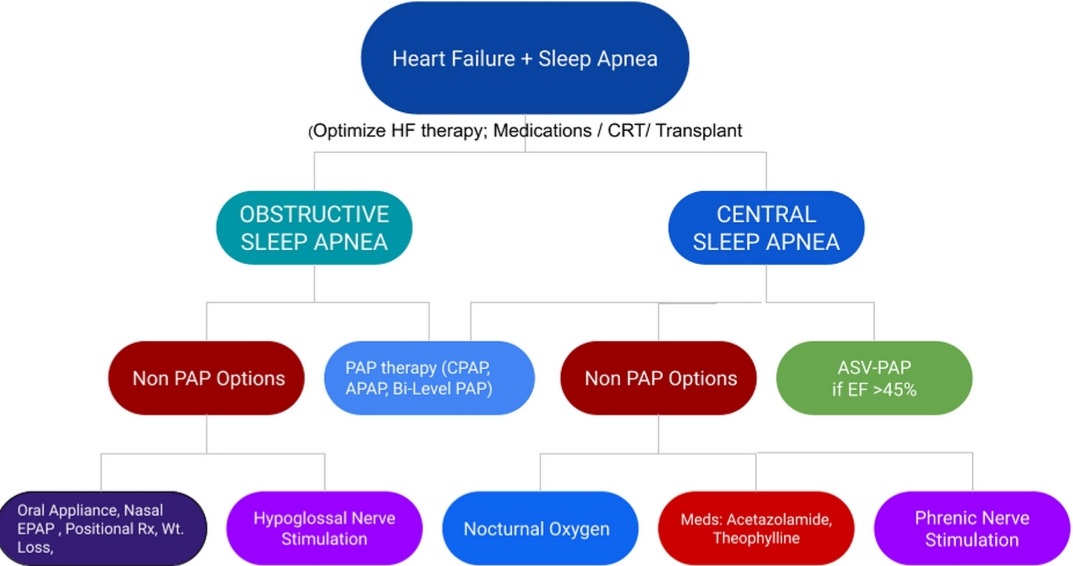 Pleased to share our article - Novel Approaches to Sleep Apnea in Heart Failure - available online in Heart Failure Clinics. Underrecognized, undertreated, associated with ⬆️ morbidity/mortality in HF patients. authors.elsevier.com/a/1hJEe5WqPxIi…