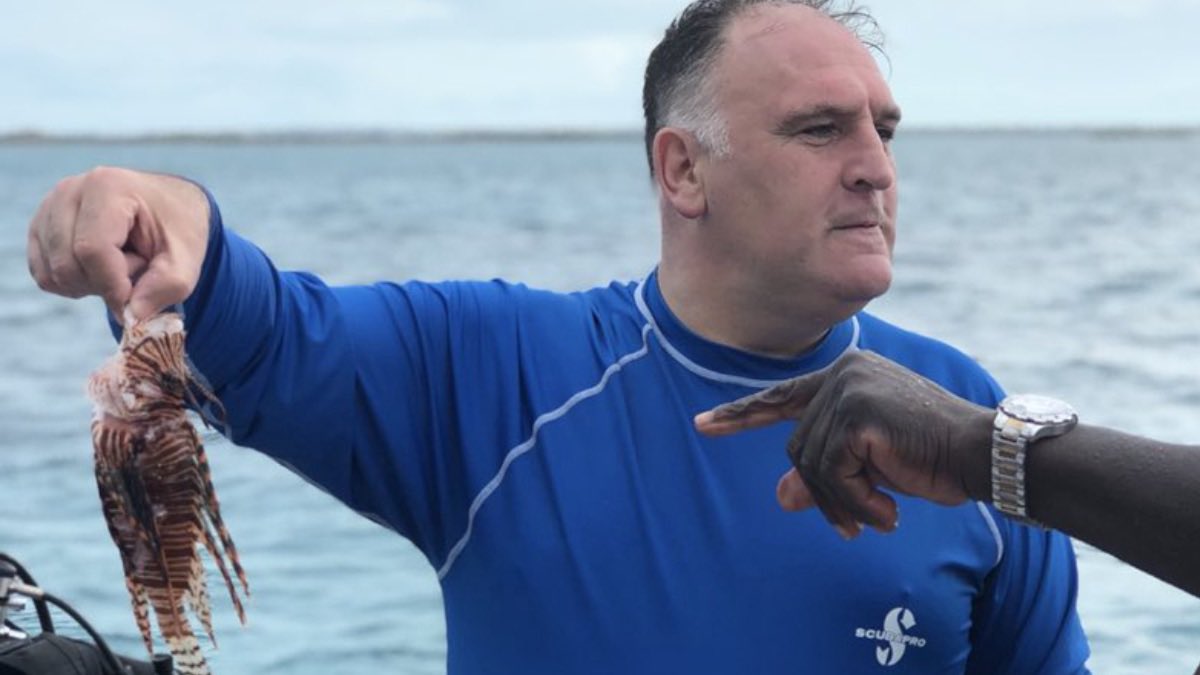 DavidNelsonEsq's tweet photo. 🐟🔪 Exciting news! Chef José Andrés (@chefjoseandres) recommends embracing a tasty solution to an environmental challenge. Let's tackle the lionfish invasion! These gorgeous creatures pose a threat to marine ecosystems, but they're also incredibly delicious. By enjoying more lionfish on our plates, we can help protect our oceans while indulging in a delectable culinary adventure. Let's dive into sustainability and savor the flavors of a unique solution! #LionfishChallenge #SustainableSeafood