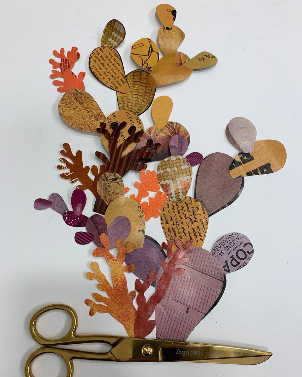 Dolan Geiman tweet media