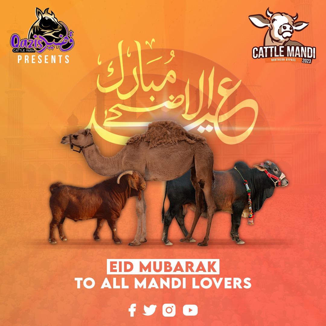 'May the spirit of Bakra Eid fill your heart with love, peace, and compassion. Wishing you all a very Happy Bakra Eid from the team of Cattle Mandi 2023.'
.
.
#CattleMandi2023 #BakraEidMubarak #qaziscattle #eiduladha2023