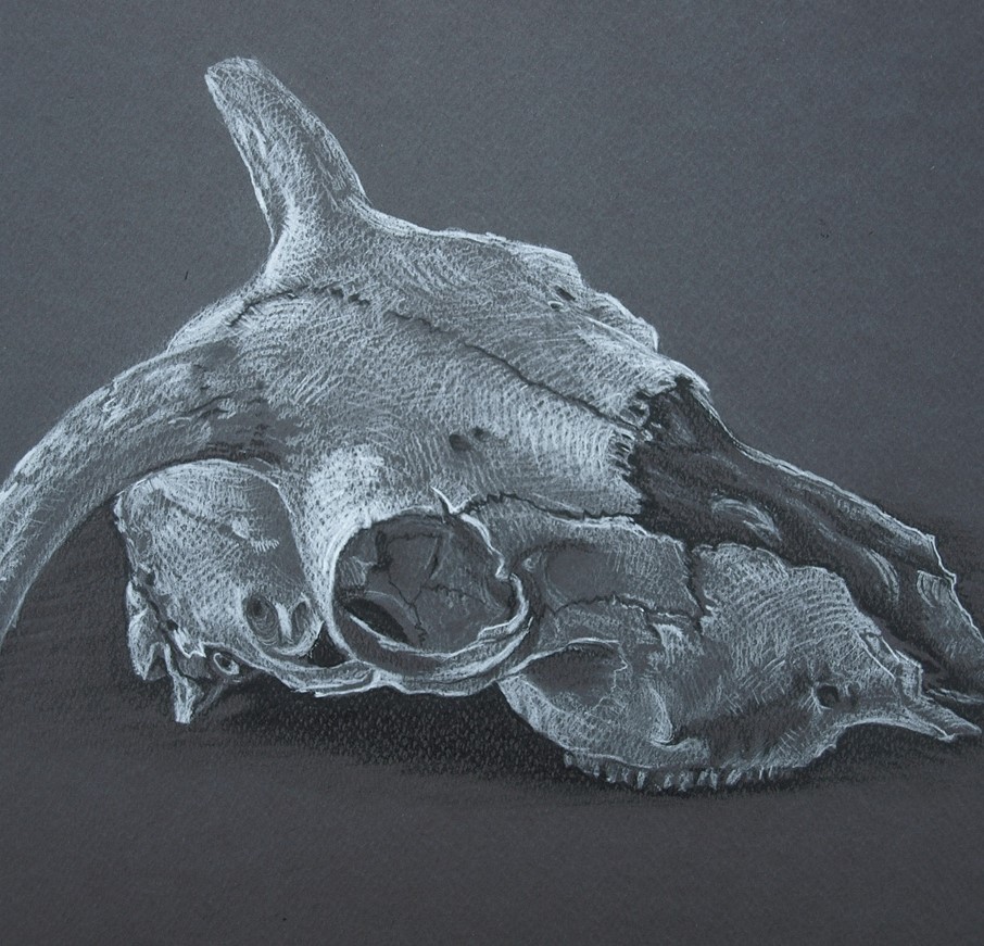 Lisa Temple-Cox tweet media