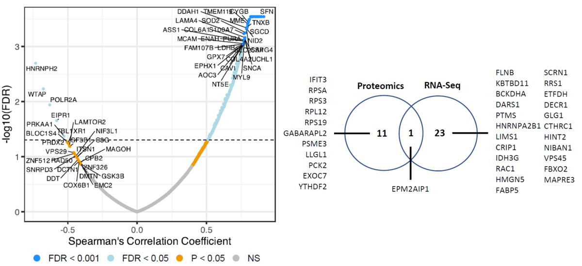 HuangLabICR's tweet photo. #Angiosarcomas are vascular #sarcomas with poor outcomes. We compare the Protein vs RNA levels in these tumours &amp; show that only 20% are correlated 

In fact, candidate prognostic biomarkers at the protein &amp; RNA levels rarely overlap

📢Take home message: Protein ≠ RNA. 5/n https://t.co/lCq839CQwg