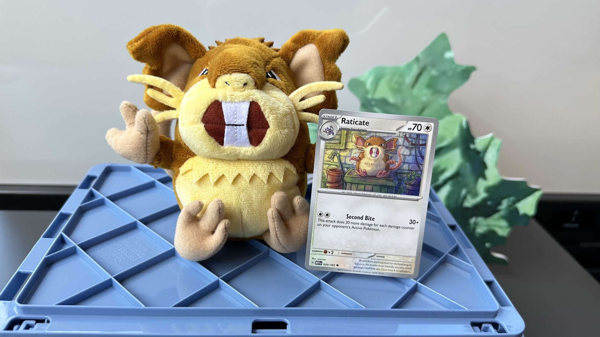 Raticate plush deals