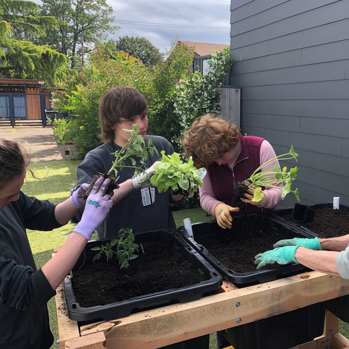 Transition Projects tweet media