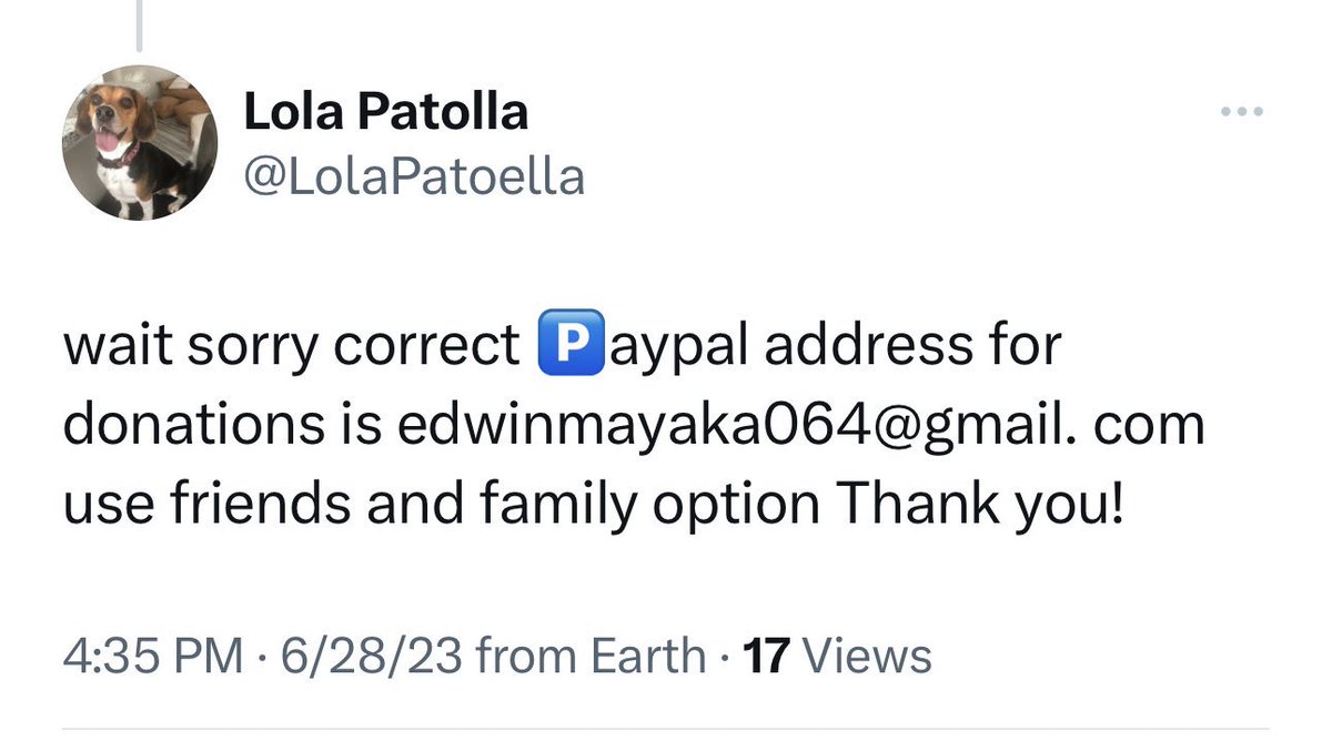 Important announcement pals!!!
This Lola Patoella is an IMPOSTER!!! I’m Lola Patolla! 
Please only donate through our website (or Venmo/PP on our profile) for the rescue pups! 
😡😡😡