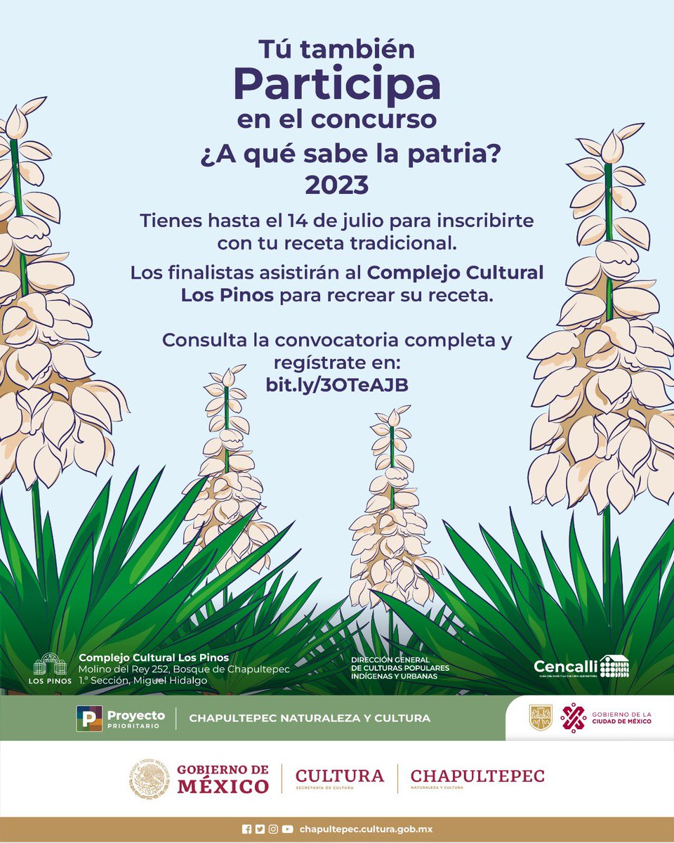 CC_LosPinos's tweet photo. El grupo de Mujeres de la Niebla de Ixhuatlán del Café, Veracruz, fueron las ganadoras en la categoría colectiva del concurso ¿A qué sabe la patria? 2022 con su receta de tamales de flor de izote 

Tú también puedes participar en la edición 2023.
👉https://t.co/KYOZdqnDOS https://t.co/blFFFnCVEQ