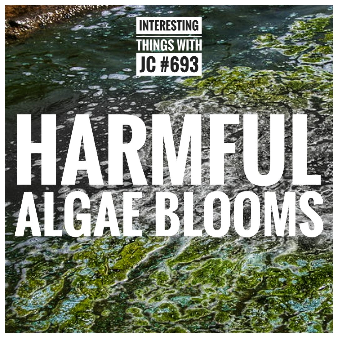 Harmful algal blooms pose risks to health & ecosystems. Stay vigilant, avoid contact with blooms, and keep pets away. Together, let's safeguard ourselves. 🌊💧#AlgalBlooms #WaterSafety #ProtectOurEcosystems #podcasting

Tune in on @ThePodcastRadio or visit JimConnors.net