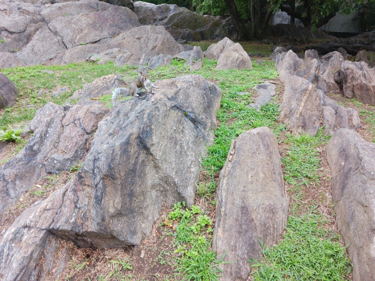 hazel_daughter's tweet image. These people are also affected. 

#Squirrel #squi