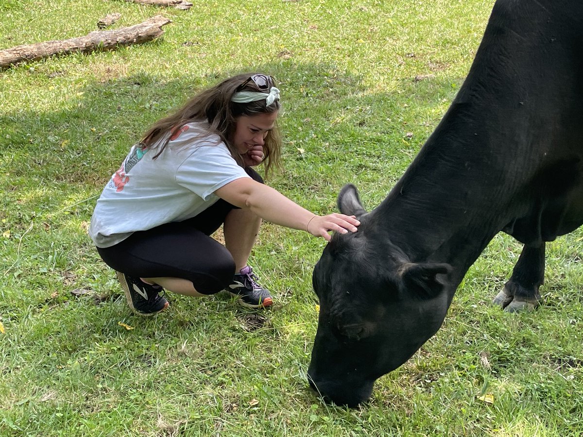 Chris Yung Elementary School tweet media