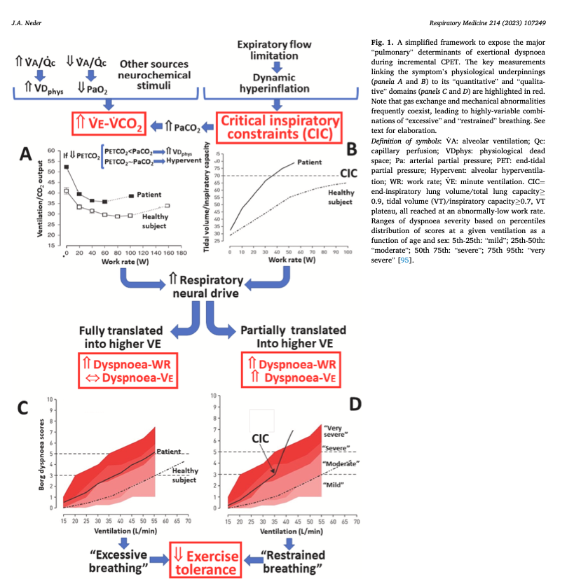 Cardiopulmonary exercise testing applied to respiratory medicine: Myths and facts &gt; #CPET is poorly understood &amp; often under or mis-used; clinically useful strategies provided to get the most out of CPET incl exposing pulmonary limitations to exercise resmedjournal.com/article/S0954-…