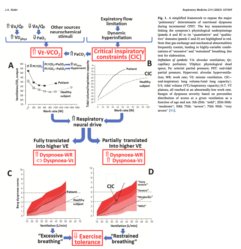 Cardiopulmonary exercise testing applied to respiratory medicine: Myths and facts > #CPET is poorly understood & often under or mis-used; clinically useful strategies provided to get the most out of CPET incl exposing pulmonary limitations to exercise resmedjournal.com/article/S0954-…