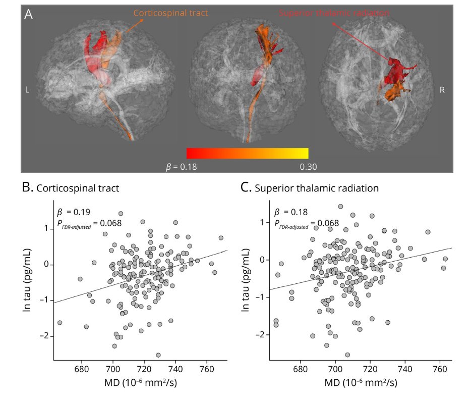Neurology journal on twitter: "this study investigated longitudinal