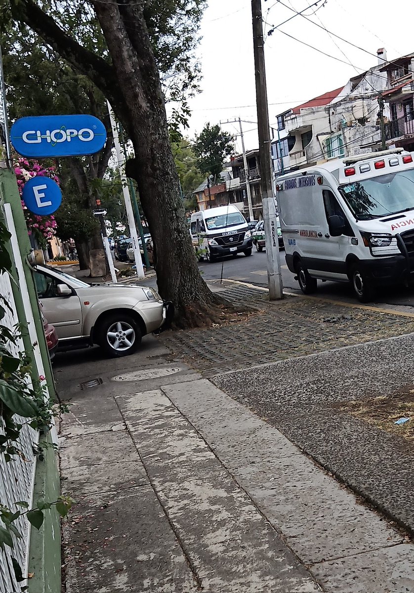 fermf1's tweet photo. @CulturaXal @camellinlove @ahuedricardo @AytoXalapa Por acá en Av Miguel Alemán, los clientes del Chopo no respetan la acera y el otro tramo con ese adoquín es muy peligroso, ya se han caído personas. https://t.co/uKAvTrqfzV