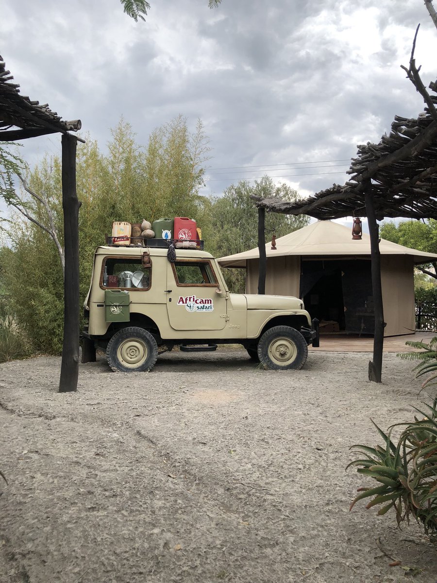 CECyTEPUE's tweet photo. ¡Así se está viviendo la actividad rompehielo en Africam Safari Puebla!
Todos y todas disfrutando de esta gran zona de aventuras 🦁🐗🐒
#OrgullosamenteCECyTE
#ExploraTuCreatividad
#ViveElFuturoTecnologico
#SomosCecyte
#FamiliaCECYTE https://t.co/s37SGUsbx8