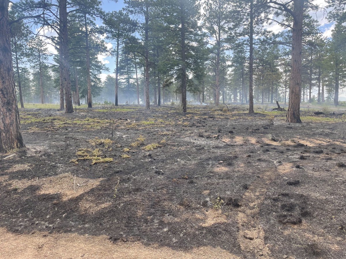 USFS_Pike&San Isabel tweet media