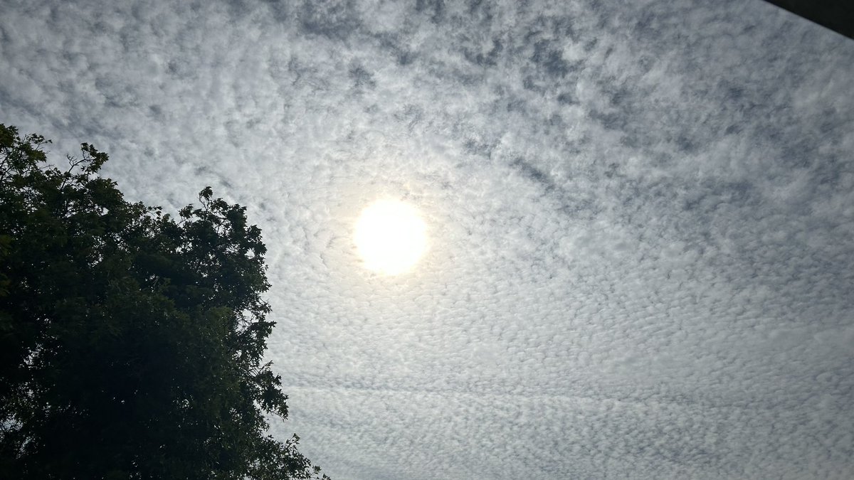 sherkkane's tweet image. #RechauffementClimatique FABRIQUÉ jusqu’à QUAND ? #VOUS croyez que les gens ne comprennent pas ce qu’il se passe au dessus de leur tête? Pilotes #satanique #SATANIC #Ryanair #easyJet #Transavia #AirFrance #aireuropa #NouvelAir #Finnair #Iberia @franceinfo @CNEWS @BFMTV @LCI #GIEC