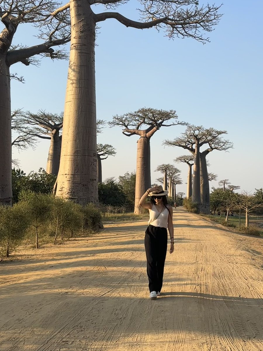 andreabalosr's tweet photo. African vibes 🧡 https://t.co/BpV1btEOK5