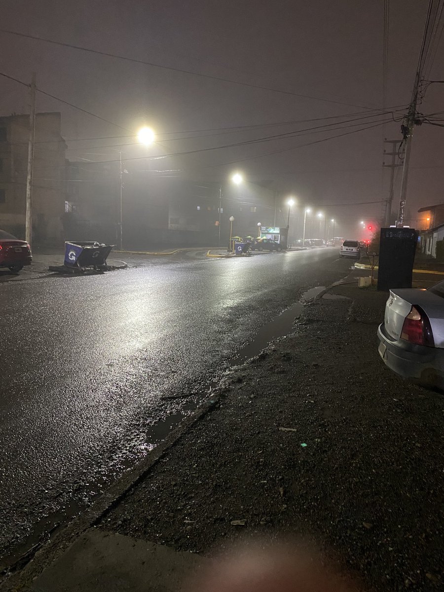 PupPuppii's tweet photo. It’s about that time of the year where my city becomes silent hill https://t.co/LoRalPSEty