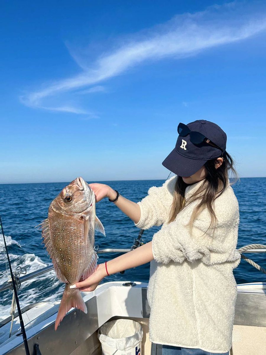 Gypsophila🤩 tweet media