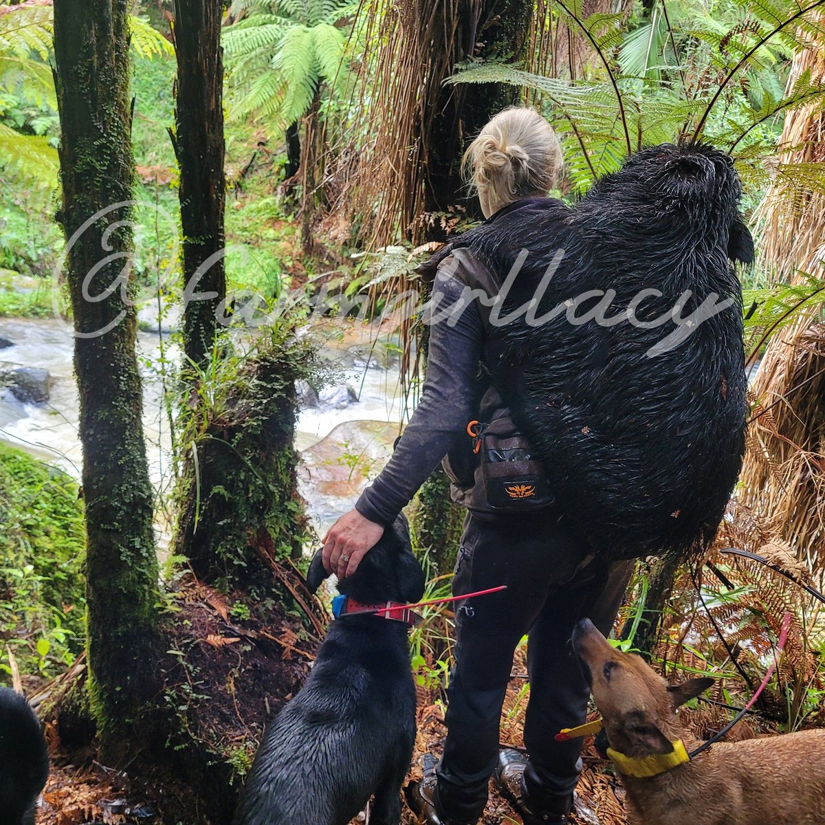 Lacy 🤠 0.01 pornstar on Twitter "Thursday morning hunts 😍 still