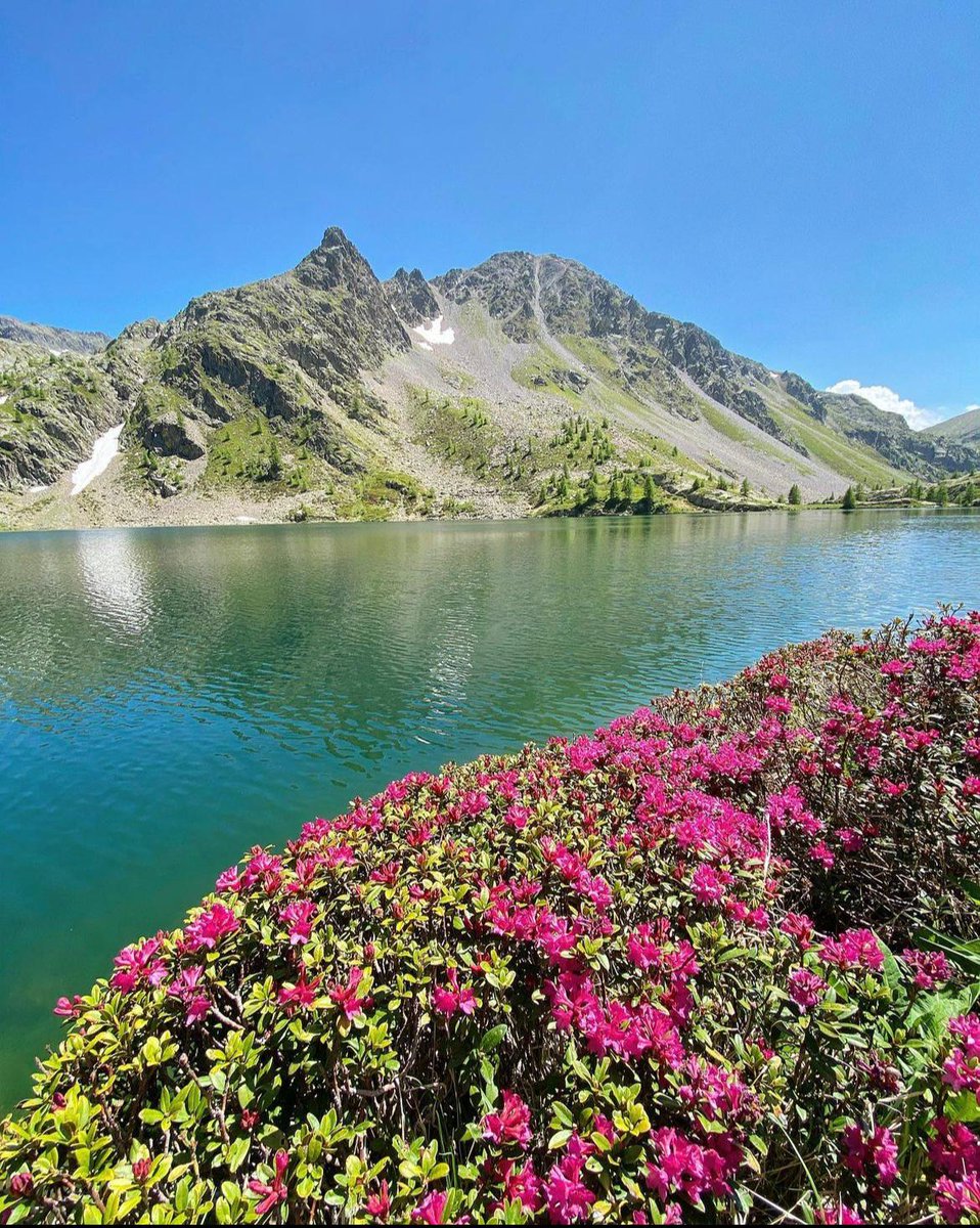 (Re)Découvrez chaque jour le #Département06 en photo ! Partagez vos plus beaux clichés du Département avec #AlpesMaritimes

L'équipe du Département vous souhaite une belle journée ☀️

📸 @nicholas_wrld / Lacs de Vens

#CotedAzurFrance #VisitCotedAzur @VisitCotedazur