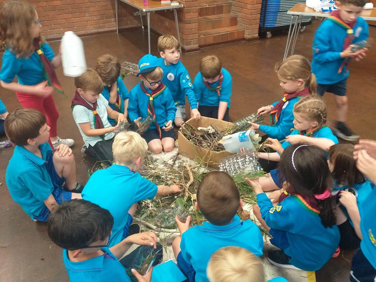 Beavers made mini bug hotels
