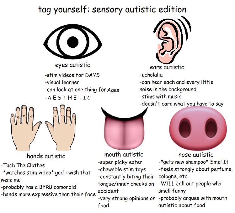 tag yourself: sensory Autistic edition