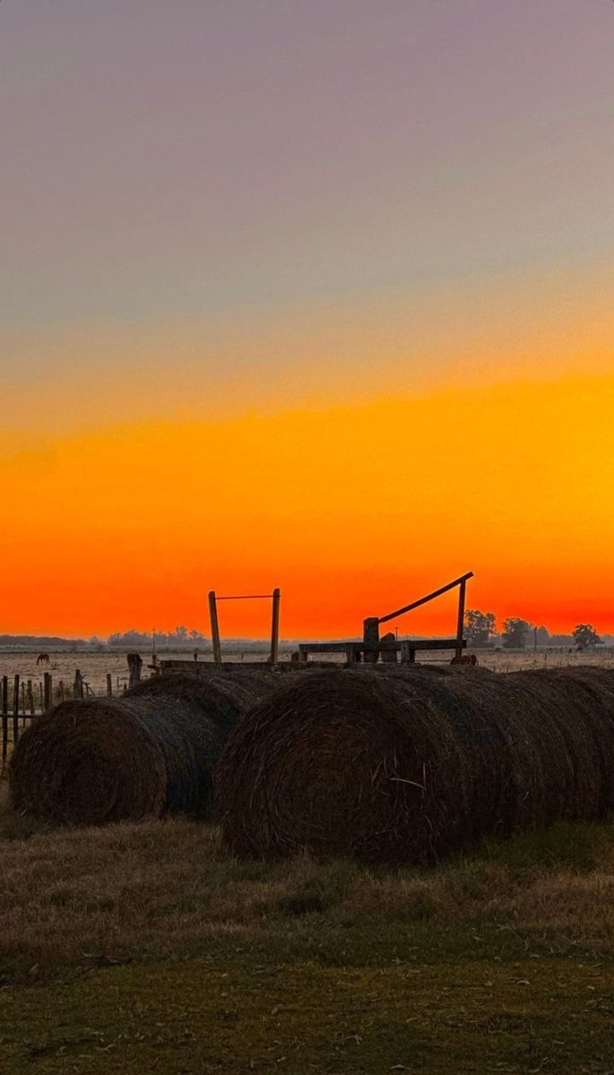 Atardecer  <a href="/ArgentinoCampo/">Campo Argentino</a> @locosxcamp #Atardecer #campo