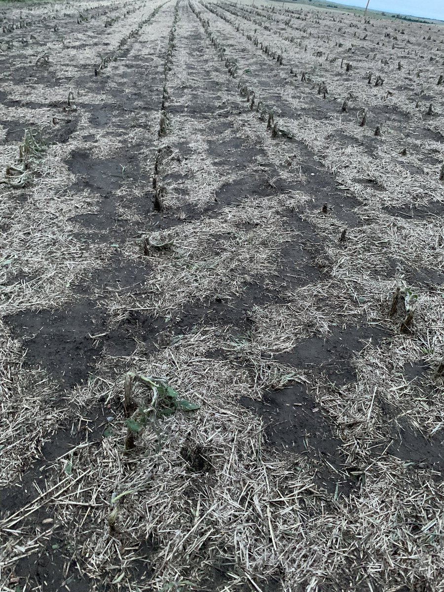 Ryan Edinger tweet media