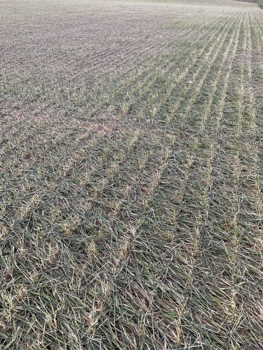 Ryan Edinger tweet media