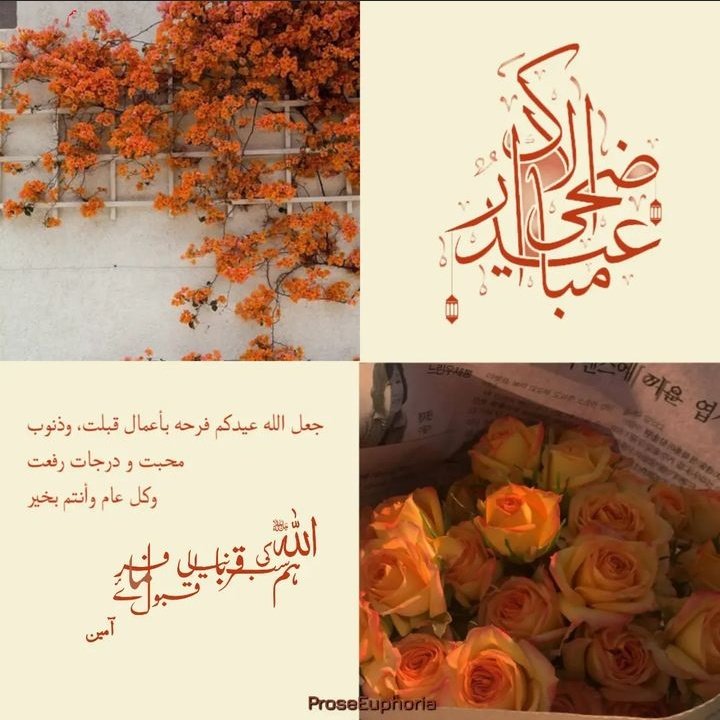 AwanMahnooor's tweet photo. Eid ul Adha Mubarak 🧡 https://t.co/OwSmzAkQbQ