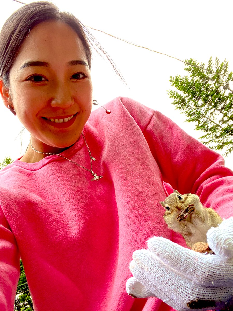 Ruriteen's tweet photo. 観劇したい作品沢山あるのに
自分の事が全然終わらなくて休みは家から出られないのがめちゃくちゃ悔しい😭🔥🔥こないだ束の間に癒されに行ったリス園のリス達が🐿️可愛すぎたのでオススメ🐿️💕 https://t.co/erxGIguRxq