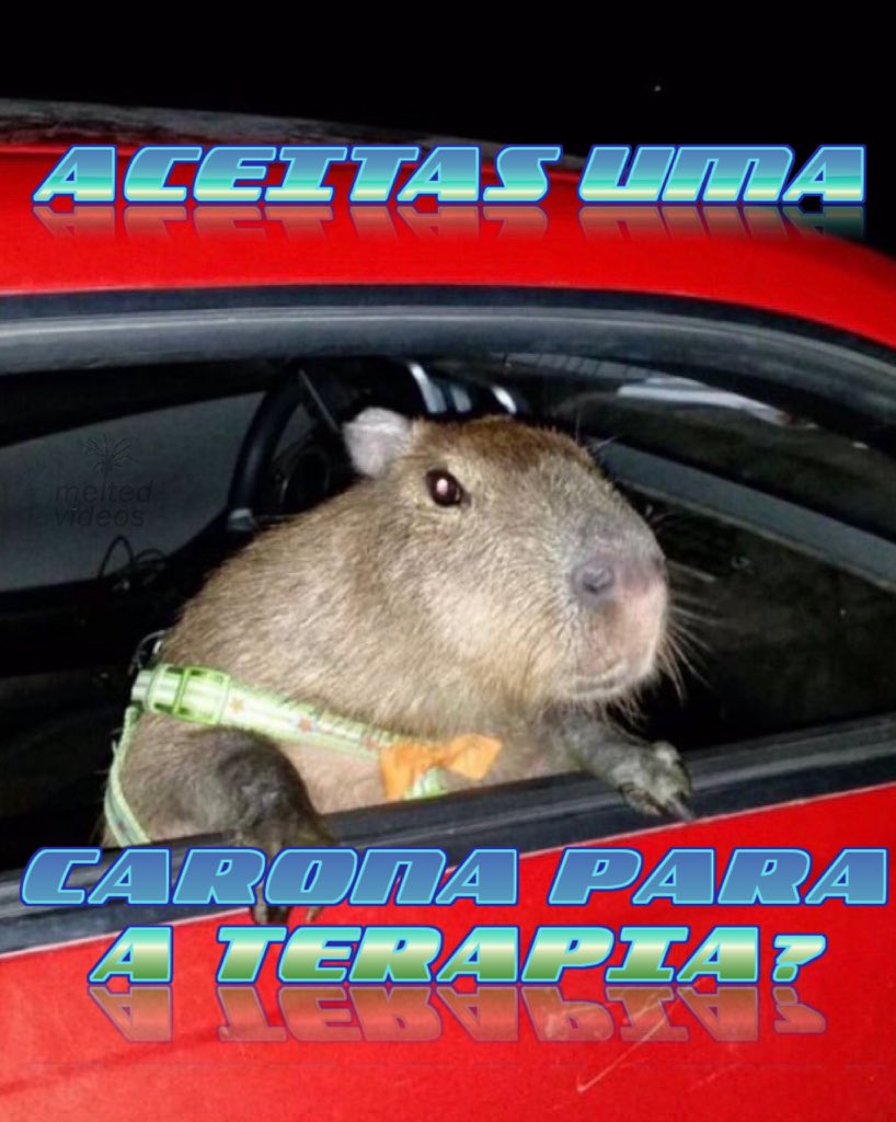 thuanyposada_'s tweet image. eai, aceitas uma carona para a terapia? 🫂🤍

#psitwitter