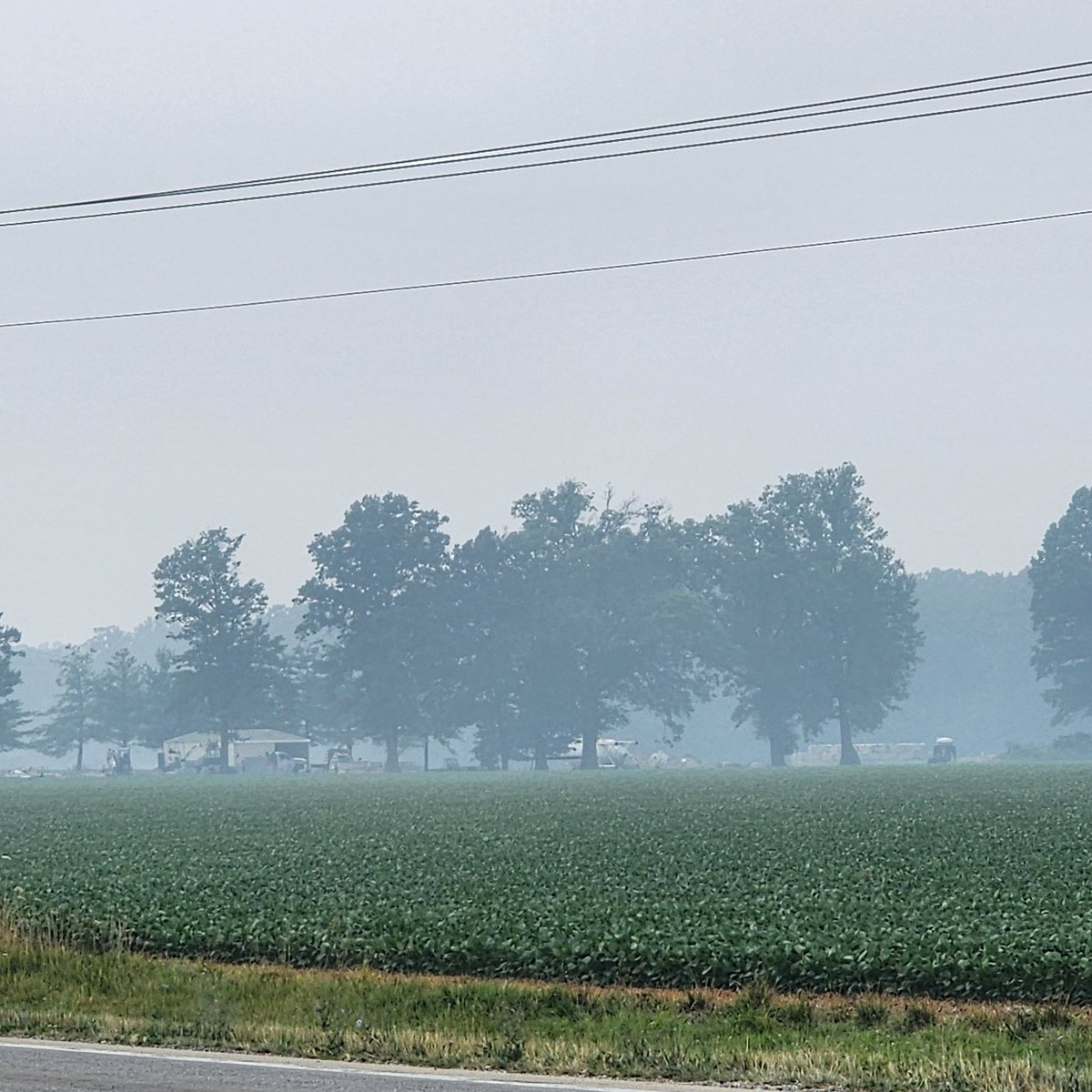 @59NationalParks @Travel_Stamps @naturetechfam Hello #ParkChat. Here in Illinois, where I have all the smoke, but none of the 'smores.