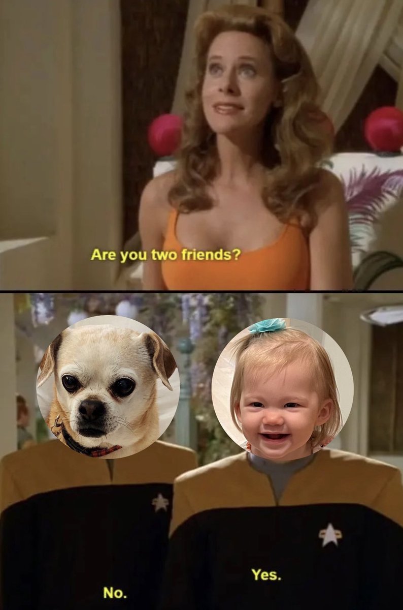 In honor of losing my best pup friend today, I hope this brings you the smile it brought our family: