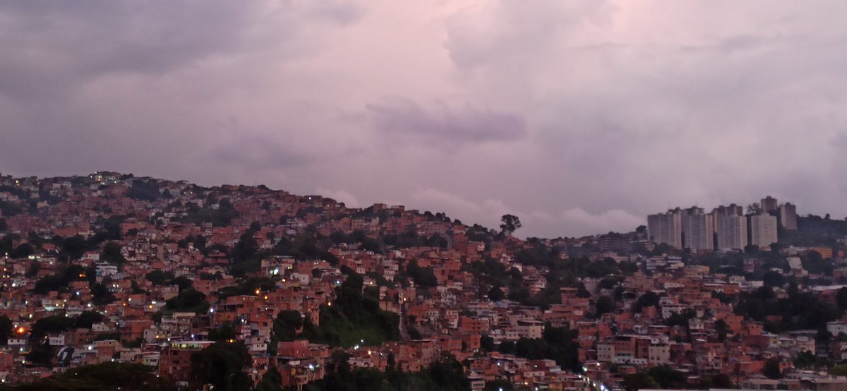 Diana Bompart tweet media