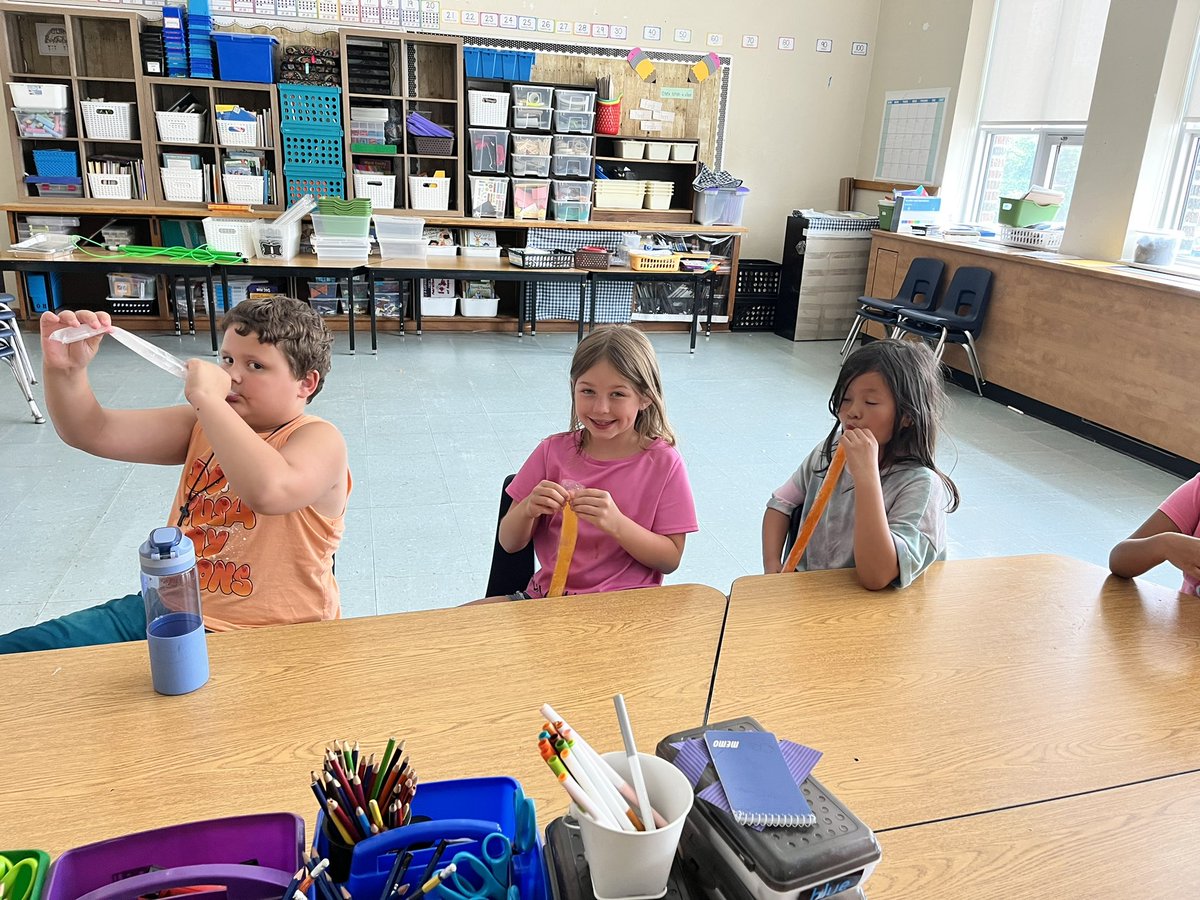 Mrs. Fanelli tweet media