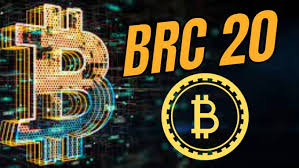 Just grabbed a bag of Bitcoin's 1st BABY ... 21 000 000 supply  ORDI #ordi #Cryptocurency #pamp #bull #pumpit