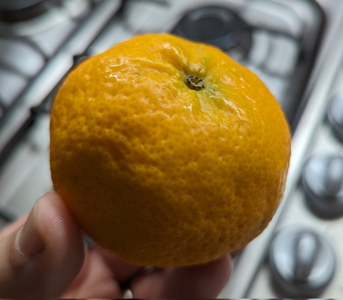Debo admitir q el #TeamInvierno suma un puntito con la mandarina.