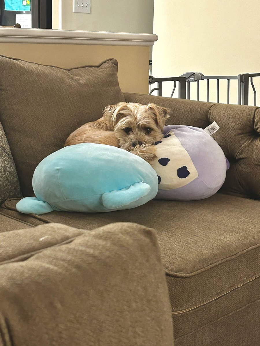 cass🌼 tweet media