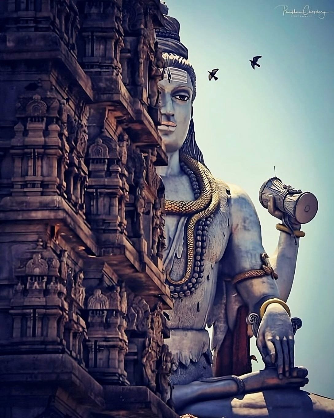 shiva wallpaper full screen