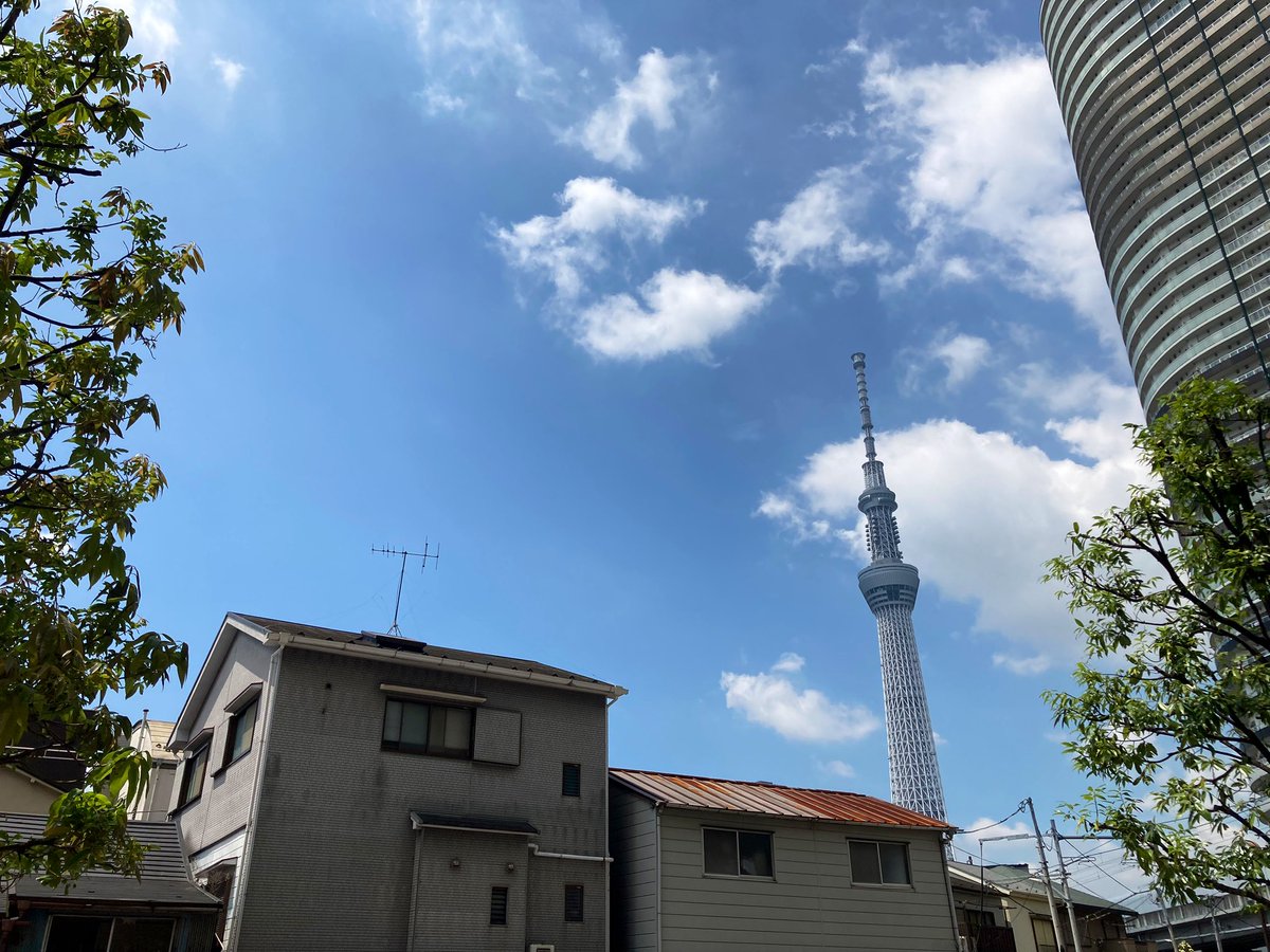 おはようございます！現在の墨田区は晴れ☀気温は29℃
午前中に真夏日に届きそうな暑さですが、今日も一日頑張りましょう！
本日は10:00~17:00で営業しております☕
#東京 #墨田区 #イマソラ 
#企業公式が毎朝地元の天気を言いあう 
#がんばろう企業公式