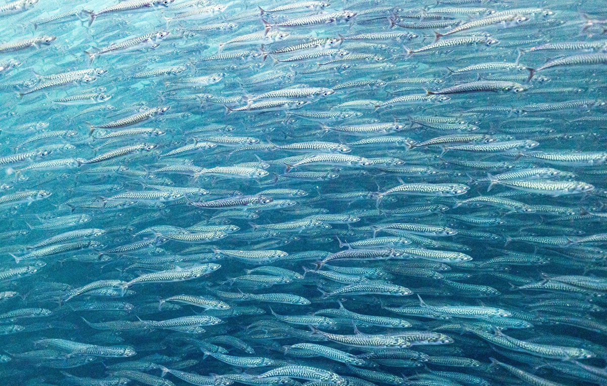 Dan Boyce tweet media