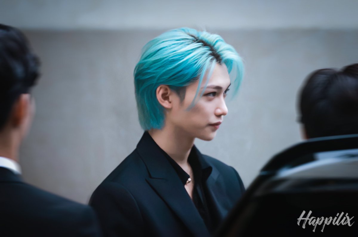 파와에이도 미따이