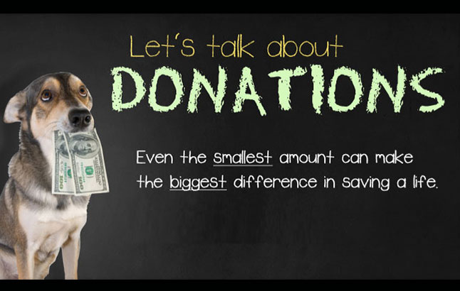 MsJones is LIVE At #Twitch twitch.tv/MsTJones87

Raising Money & Awareness For @HumaneSociety @HSUStreams 

!donate !charity

#StreamForAllAnimals #JonesFamCharityTeam #RogueEnergy #SDCREW @SoarDogg @JerkyPro @JonesFam_ @TeamSarrow_ @Team_V_Gaming @tiltify @jonesygurl