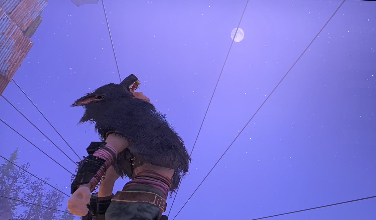 sassylady1103's tweet image. #Fallout76 #WolfMode