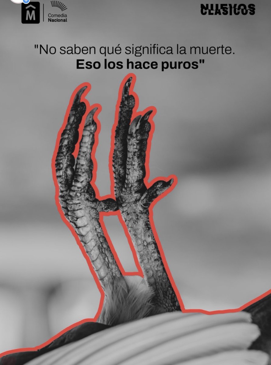 Calderoncomplot's tweet photo. Este fin de semana las 4 funciones de LA GAYINA de Adrian Caetano basado en LA GALLINA DEGOLLADA de Horacio Quiroga se encuentran agotadas. Ya están en venta las del siguiente fin de semana. @ComediaNacional @IMcultura @TeatroSolis https://t.co/TqLZo5T3bt