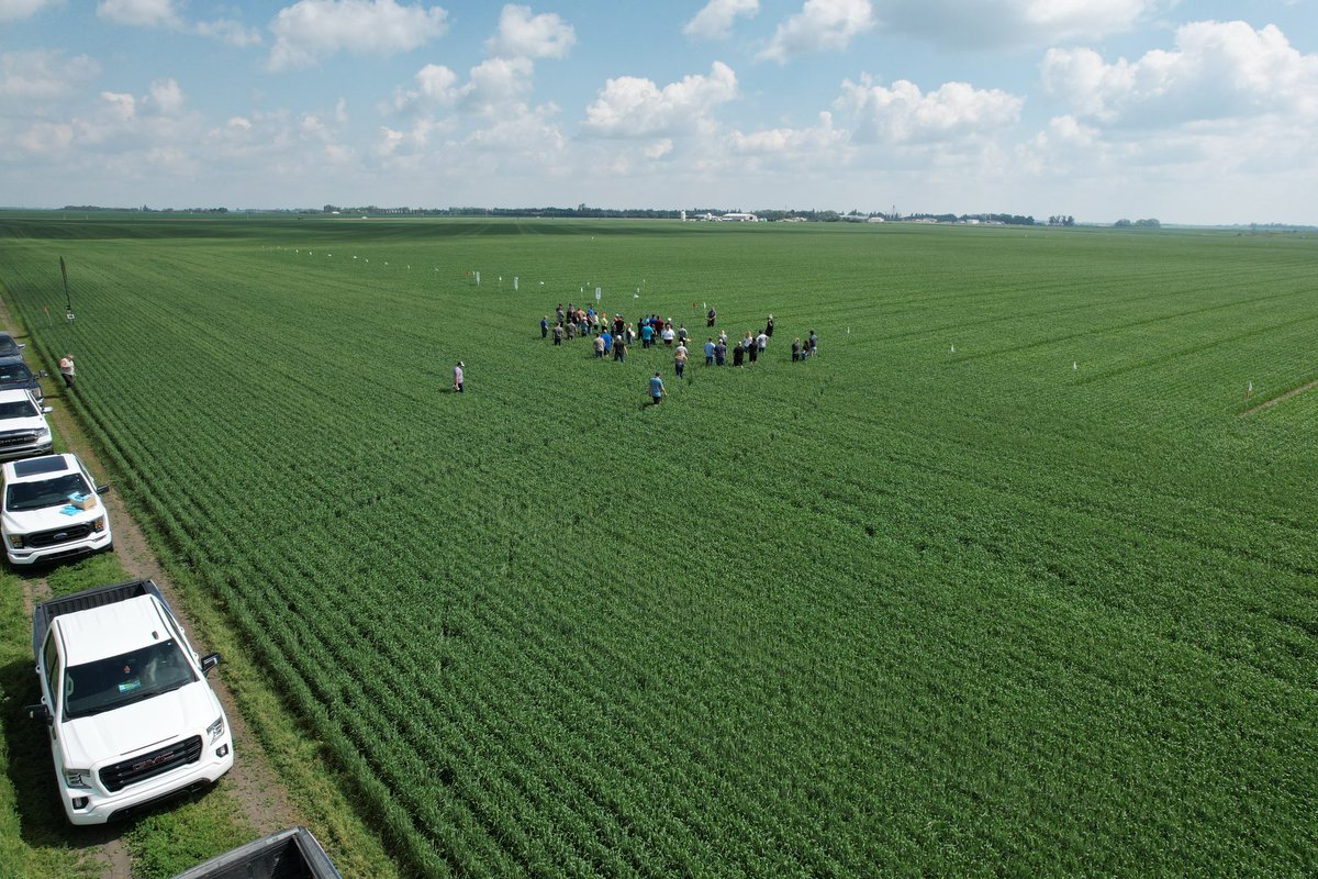 Zachary McLane tweet media